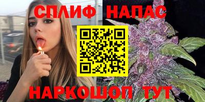 шишки Бузулук