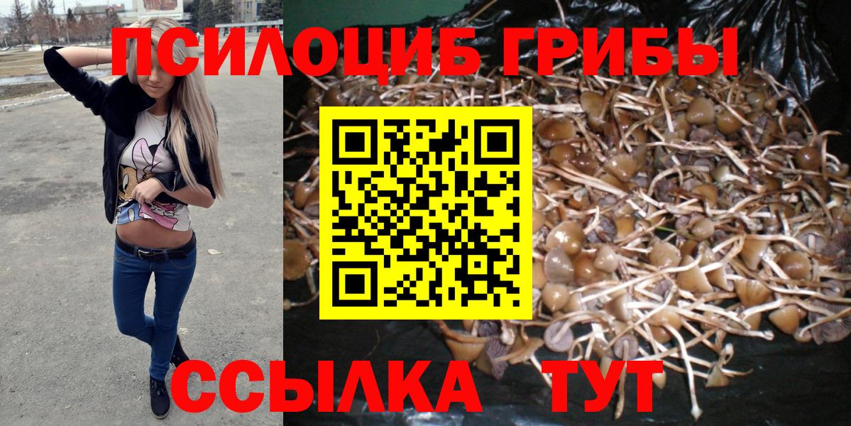 Псилоцибиновые грибы MAGIC MUSHROOMS  даркнет сайт  Галлюциногенные грибы мухоморы  Черкесск  Вход с VPN 